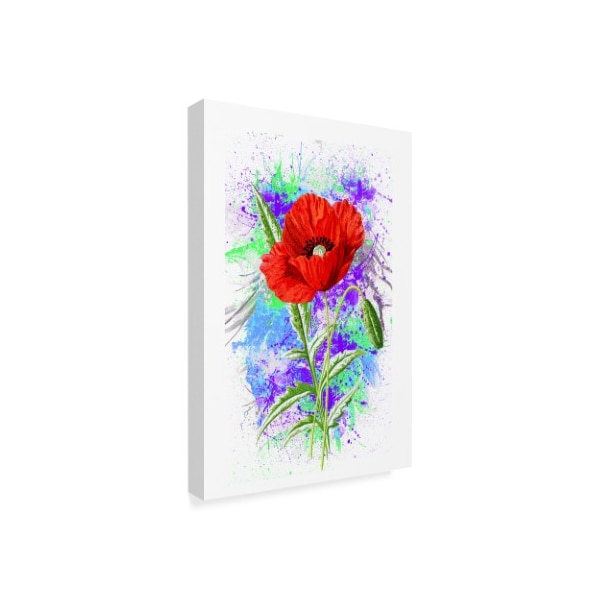 Ata Alishahi 'Poppy Flowers' Canvas Art,12x19